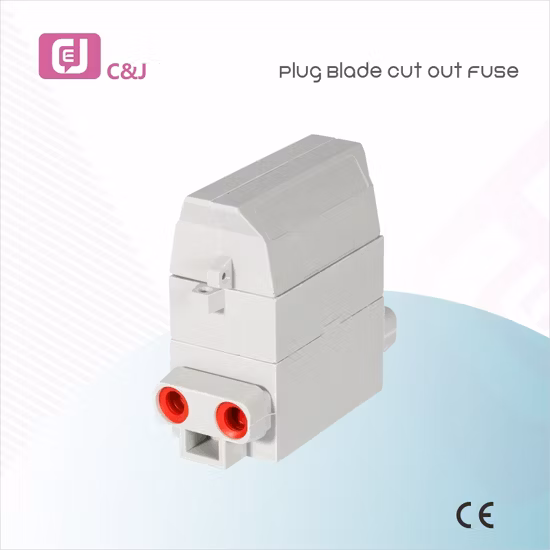 Preço de atacado 1p 100A 60A Plugue elétrico lâmina cortada fusível